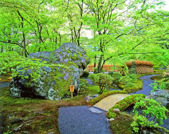 宝厳院　春の特別拝観