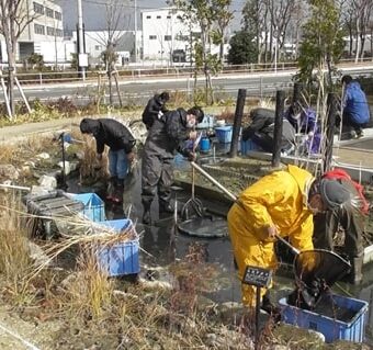 自然観察会「かいぼり」