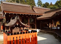 「京の夏の旅」文化財特別公開　上賀茂神社（賀茂別雷神社）本殿・権殿
