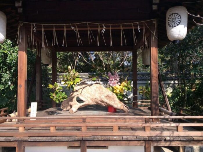 宗像神社  神賑わいの祭