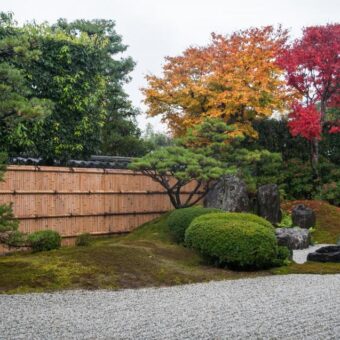 大徳寺塔頭 興臨院　秋の特別公開