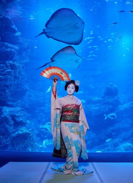 京都水族館「舞妓 -花の刻(とき)-」