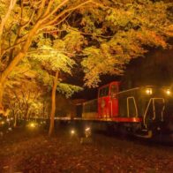 嵯峨野トロッコ列車秋のライトアップ「光の幻想列車」