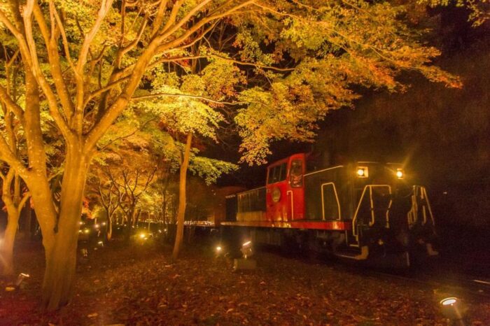 嵯峨野トロッコ列車秋のライトアップ「光の幻想列車」