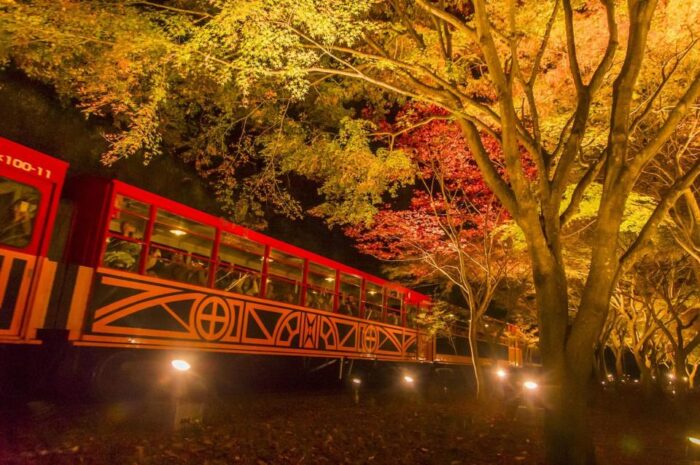 嵯峨野トロッコ列車秋のライトアップ
