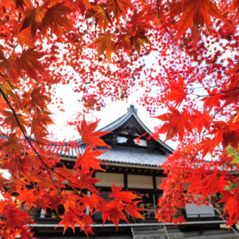 仁和寺　霊宝館秋季名宝展