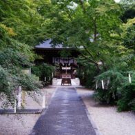 梨木（なしのき）神社　萩まつり
