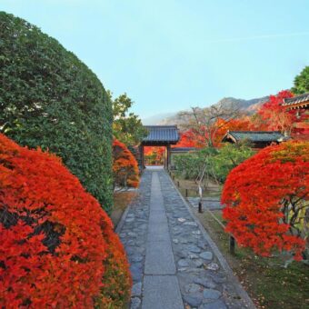 弘源寺　秋の特別公開
