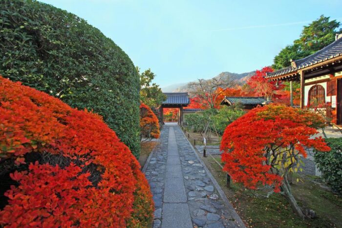 弘源寺　秋の特別公開