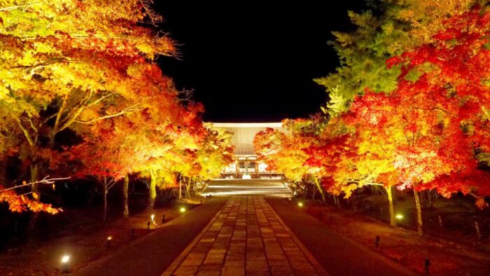 仁和寺もみじライトアップ　紅葉残照