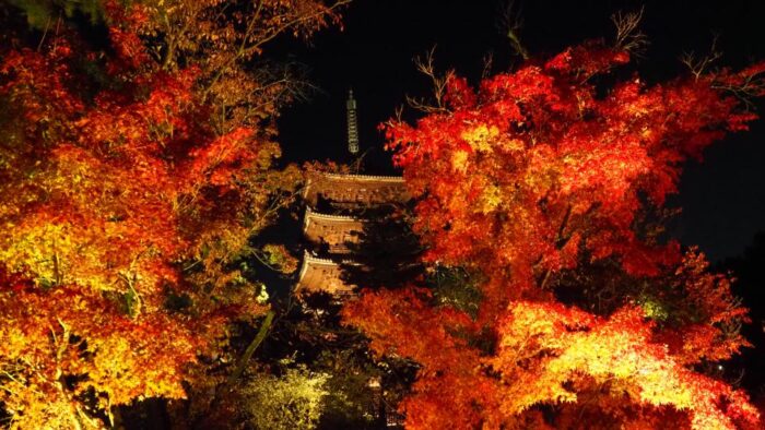 仁和寺もみじライトアップ　紅葉残照