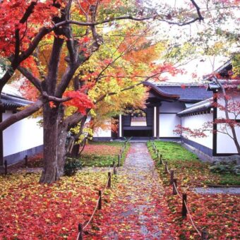 大徳寺 黄梅院　秋の特別公開