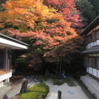 「未景2022　―御寺・ART・かたらい－　ものがたるものがたり」