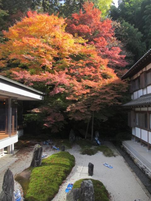 「未景2022　―御寺・ART・かたらい－　ものがたるものがたり」