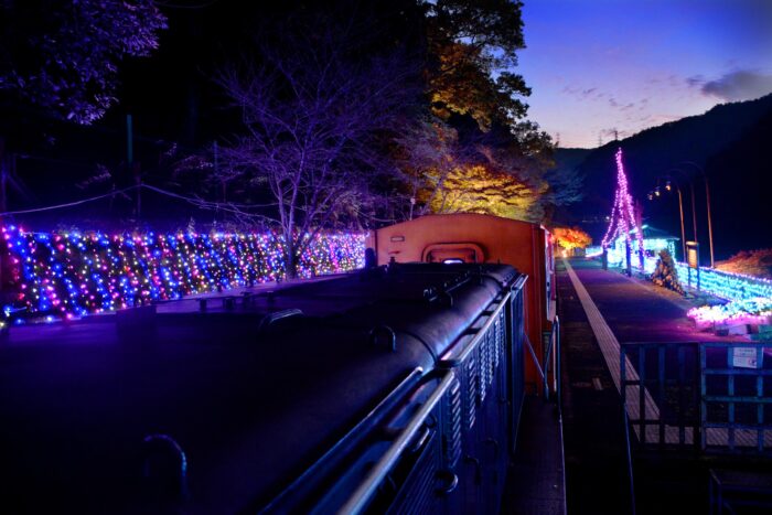 嵯峨野トロッコ列車秋のライトアップ「光の幻想列車」