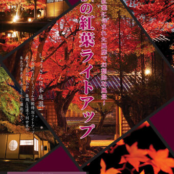 しょうざん日本庭園　秋の紅葉ライトアップ