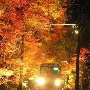 貴船もみじ灯篭