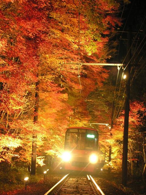 貴船もみじ灯篭