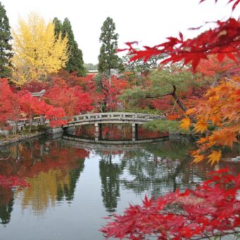 永観堂　秋の寺宝展