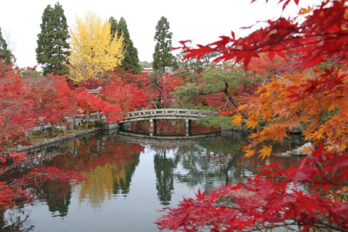 永観堂　秋の寺宝展