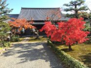 眞如寺　秋の特別公開　（事前予約）