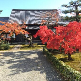 眞如寺　秋の特別公開　（事前予約）