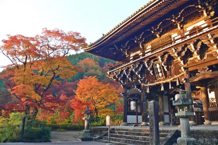 善峯寺　紅葉の京都 善峯寺を味わい尽くす
