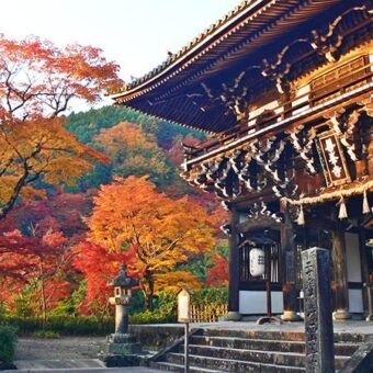 善峯寺　紅葉の京都 善峯寺を味わい尽くす