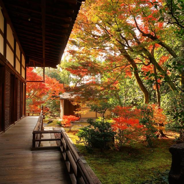 正伝永源院　秋の特別公開寺宝展