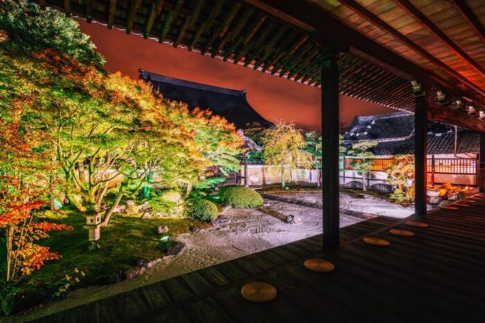 妙顕寺　ライトアップ＆夜間特別拝観