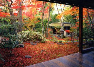 妙心寺　大法院　紅葉の露地庭園特別公開・秋季特別公開