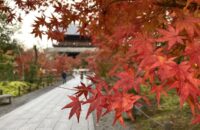 早起きは三文の徳♪京都の紅葉、美しく色づいています！　南禅寺～真如堂＜11月19日＞