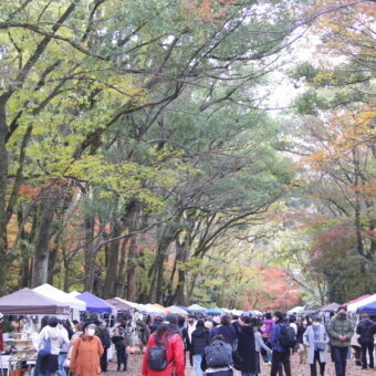 第40回 森の手づくり市～ものづくりforest～【下鴨神社糺の森】
