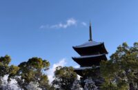 「西本願寺　御影堂」から「東寺　五重塔」までの～ 国宝　雪道ニシさんぽ！