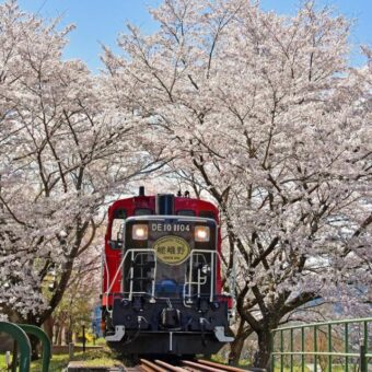 嵯峨野トロッコ列車