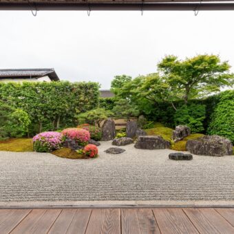 大徳寺　興臨院　春の特別公開