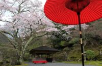 白龍園　春の特別公開