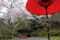 白龍園　春の特別公開