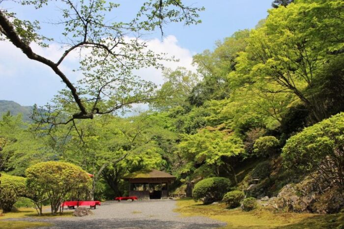 白龍園　春の特別公開