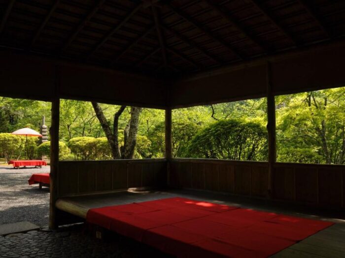 白龍園　春の特別公開