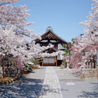 春の特別公開【妙顕寺】