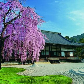 高台寺奉納襖 特別公開と夜間特別拝観【高台寺】