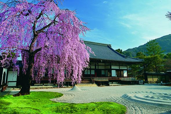 高台寺奉納襖 特別公開と夜間特別拝観【高台寺】