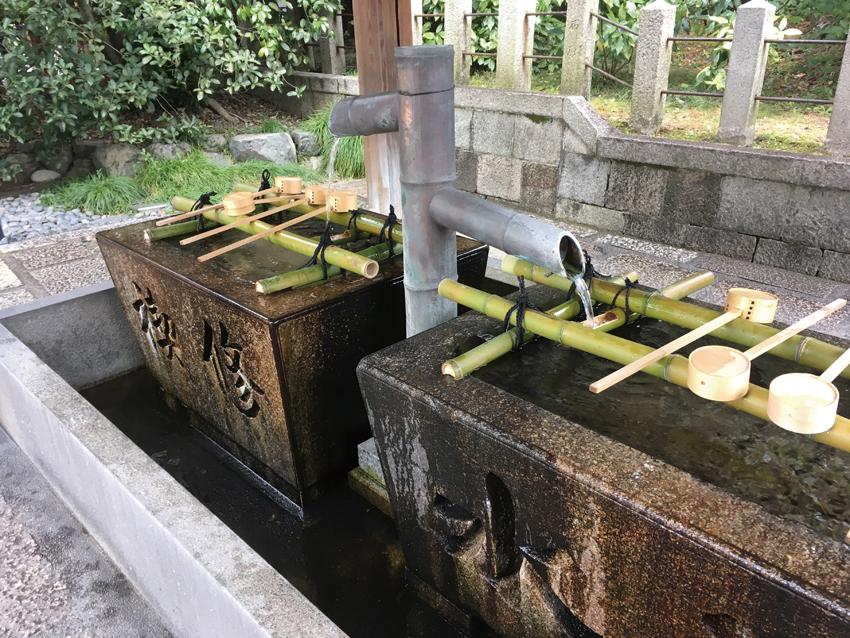 菊水若水（城南宮）