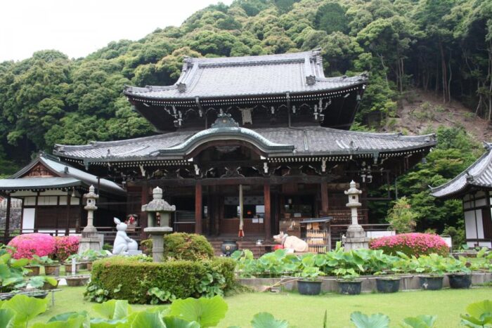 三室戸寺　つつじ園開園