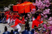 やすらい祭【今宮神社】