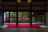 正伝永源院　つつじと新緑の庭園特別公開