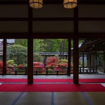 正伝永源院　つつじと新緑の庭園特別公開