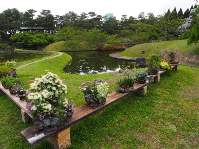 梅小路公園　春の和の花展