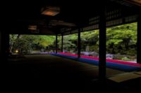 特別拝観とライトアップ【圓徳院】